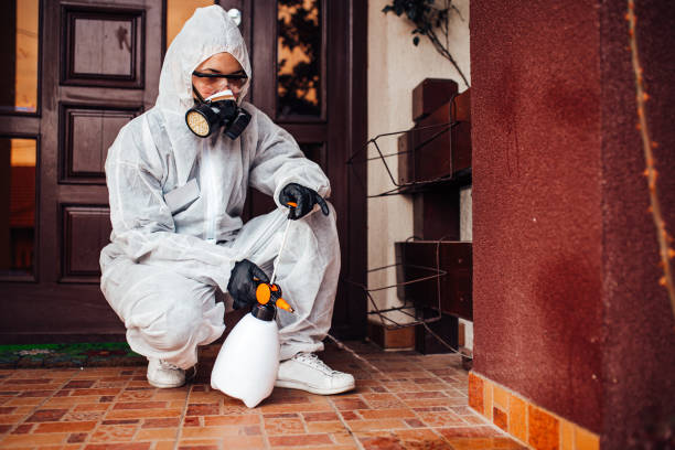 Reliable Cockroach Control contractor in Johnston, SC by Nex Pest Control